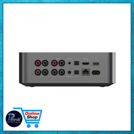 เครื่องเล่นเสียง WIIM : WIIM ULTRA MUSIC STREAMER (SPACE GREY)_5
